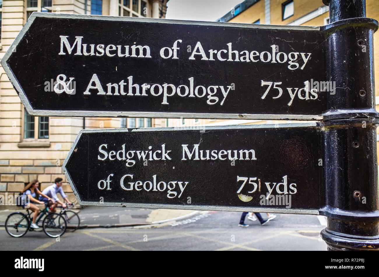 Cambridge Museums - signs to the Museum of Archaeology and Anthropology and the Sedgwick Museum of Geology in central Cambridge UK Stock Photo