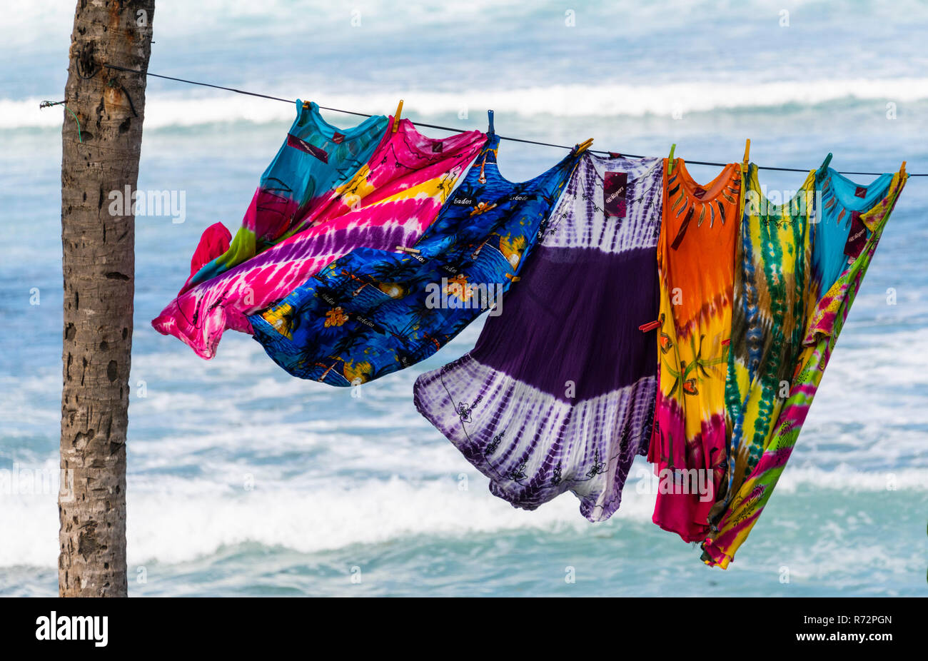 Colourful ladies dresses drying in the breeze at Bathsheba Beach Barbados  Stock Photo