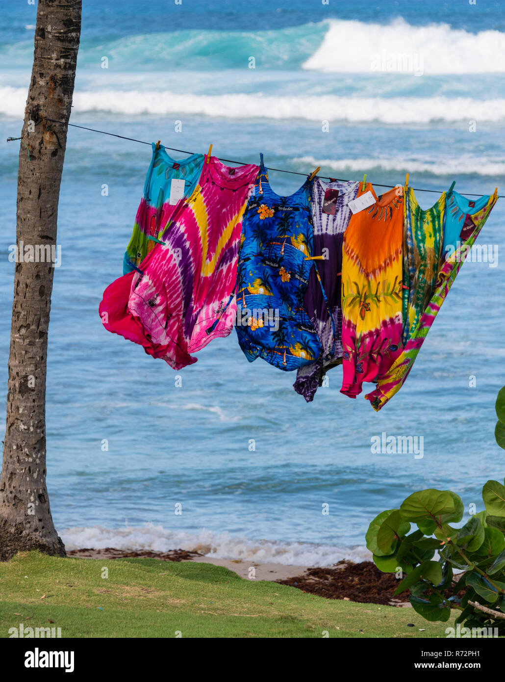 Colourful ladies dresses drying in the breeze at Bathsheba Beach Barbados Stock Photo - Alamy Colourful ladies dresses drying in the breeze at Bathsheba Beach Barbados Stock Photo - Alamy