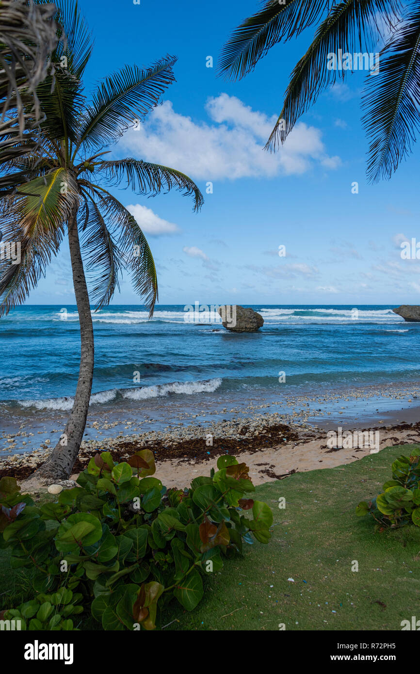 Bathsheba Beach & Atlantic Ocean Barbados showing mushroom shaped rock ...