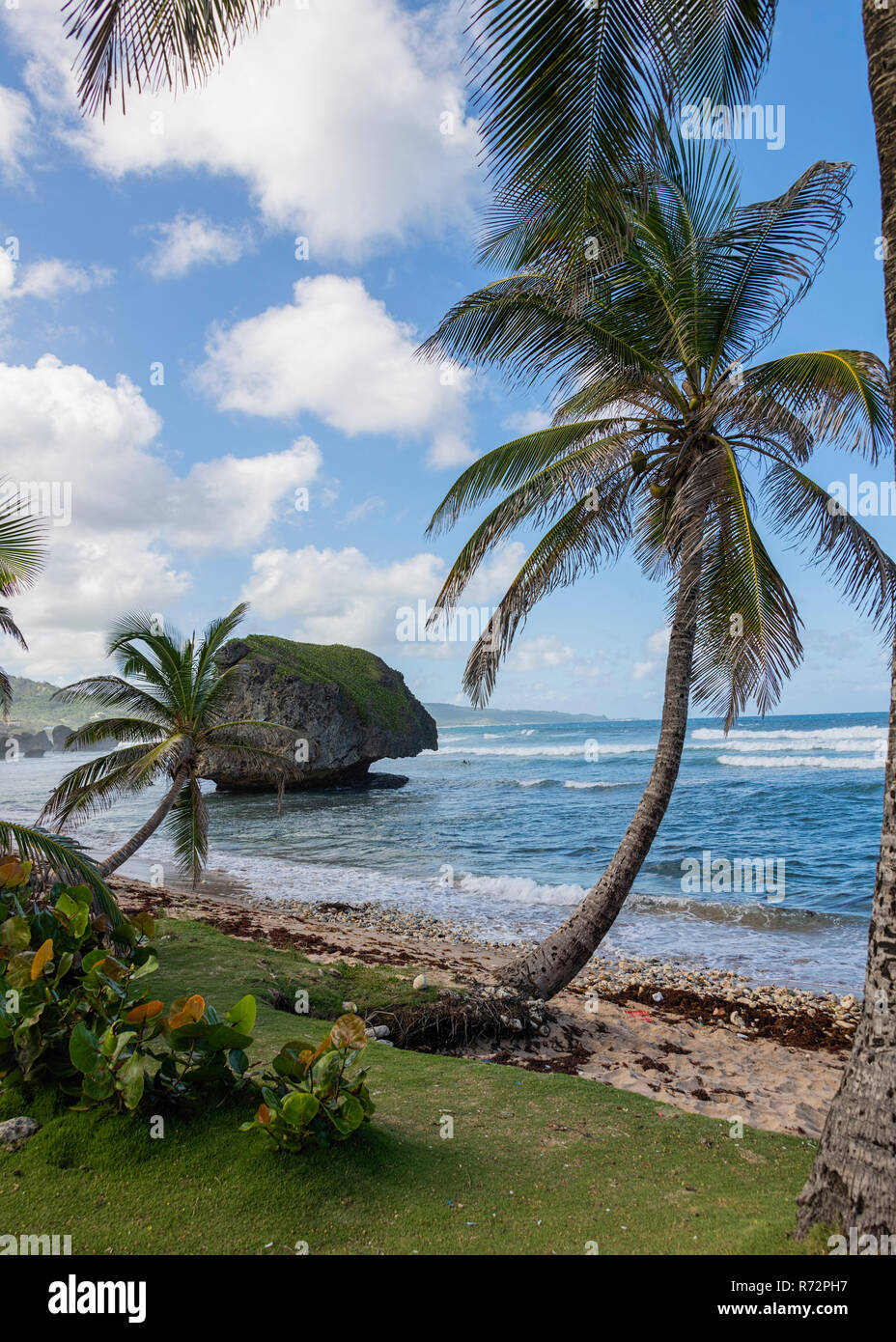 Bathsheba Beach & Atlantic Ocean Barbados showing mushroom shaped rock ...