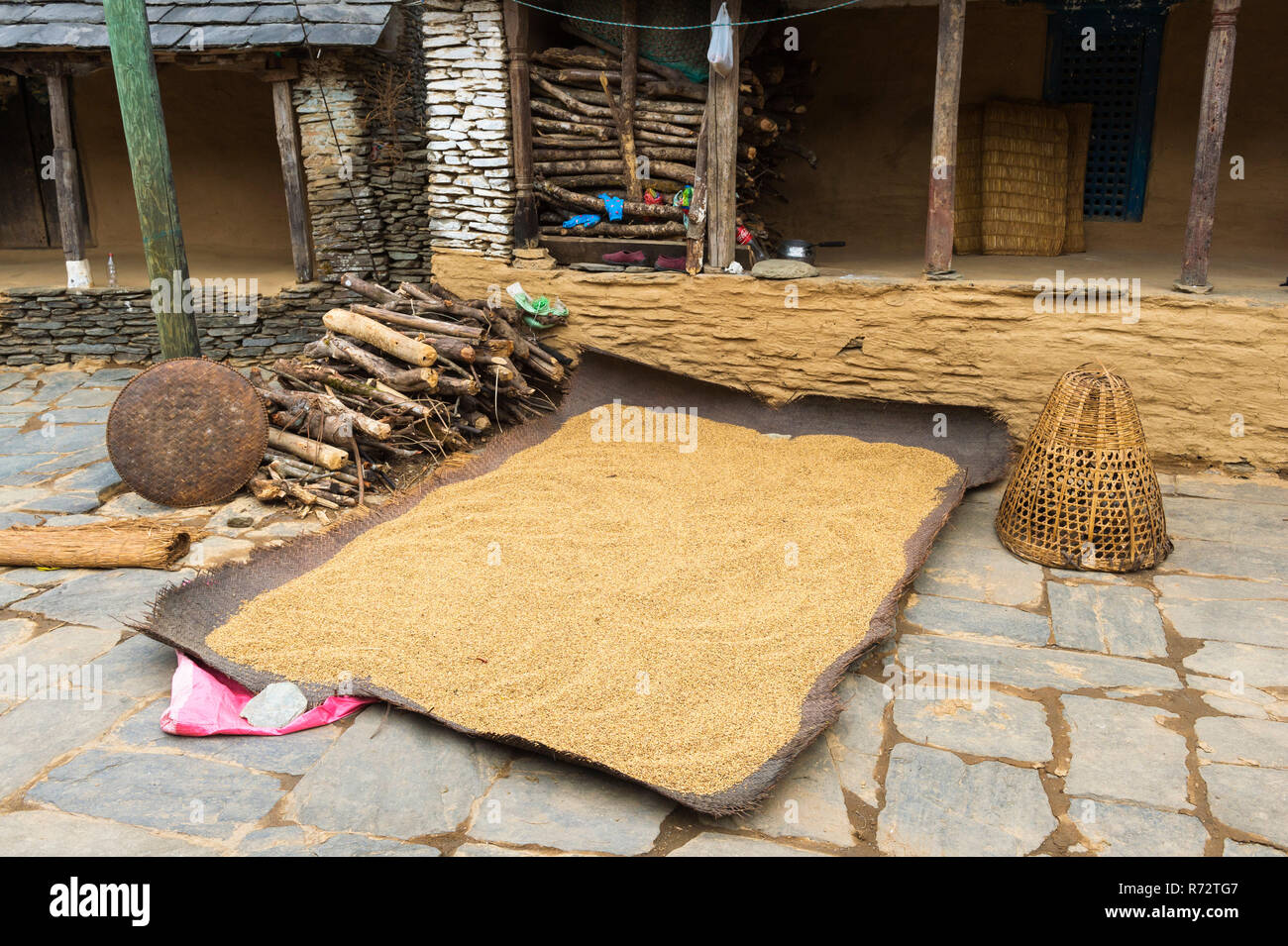 Rice drying hi-res stock photography and images - Alamy