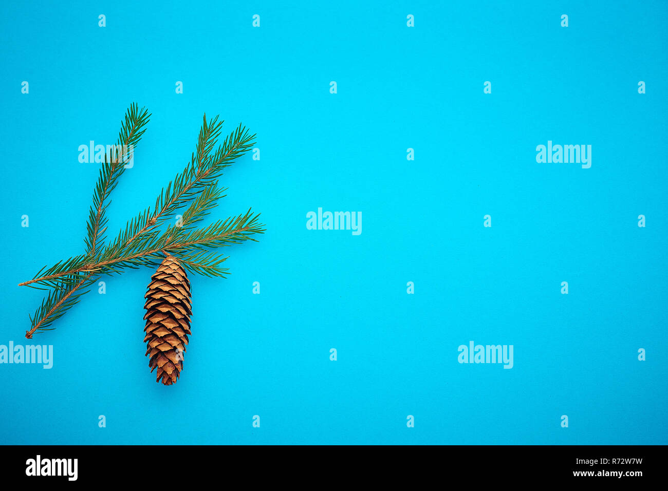 branch Christmas tree on a colored background, a place for text Stock Photo