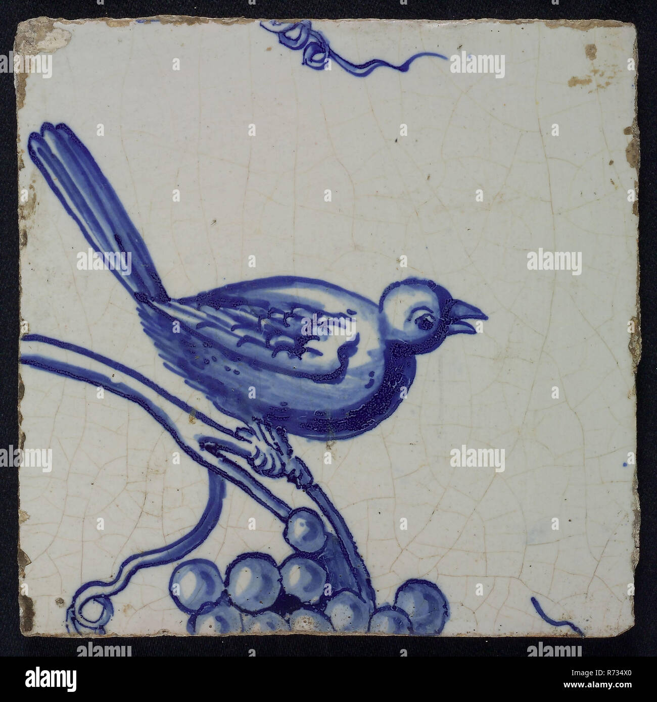 picture Tiels Bird alamy