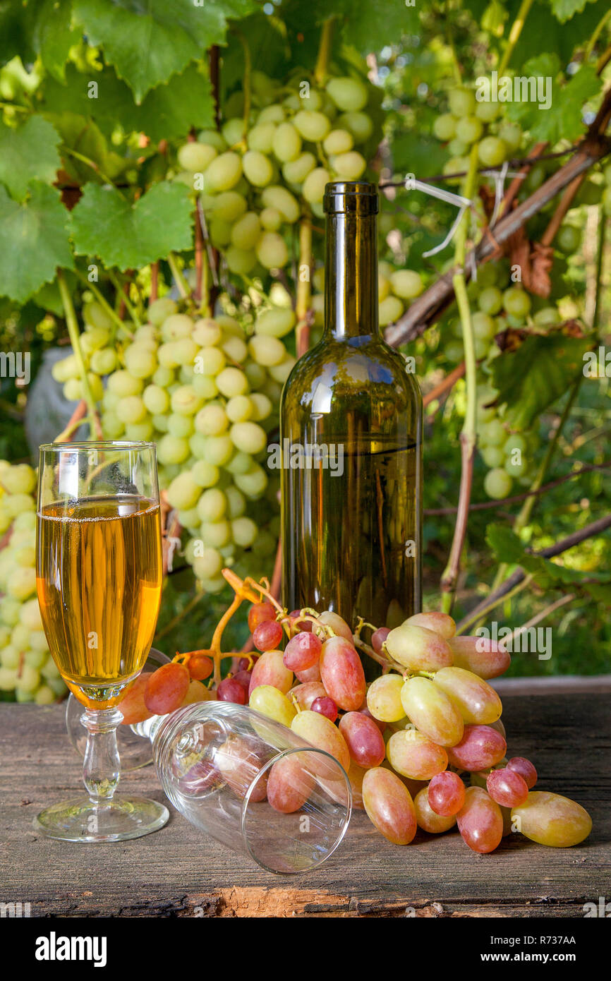 Glass of white wine and empty glass, grapes bunch and bottle of wine on ...