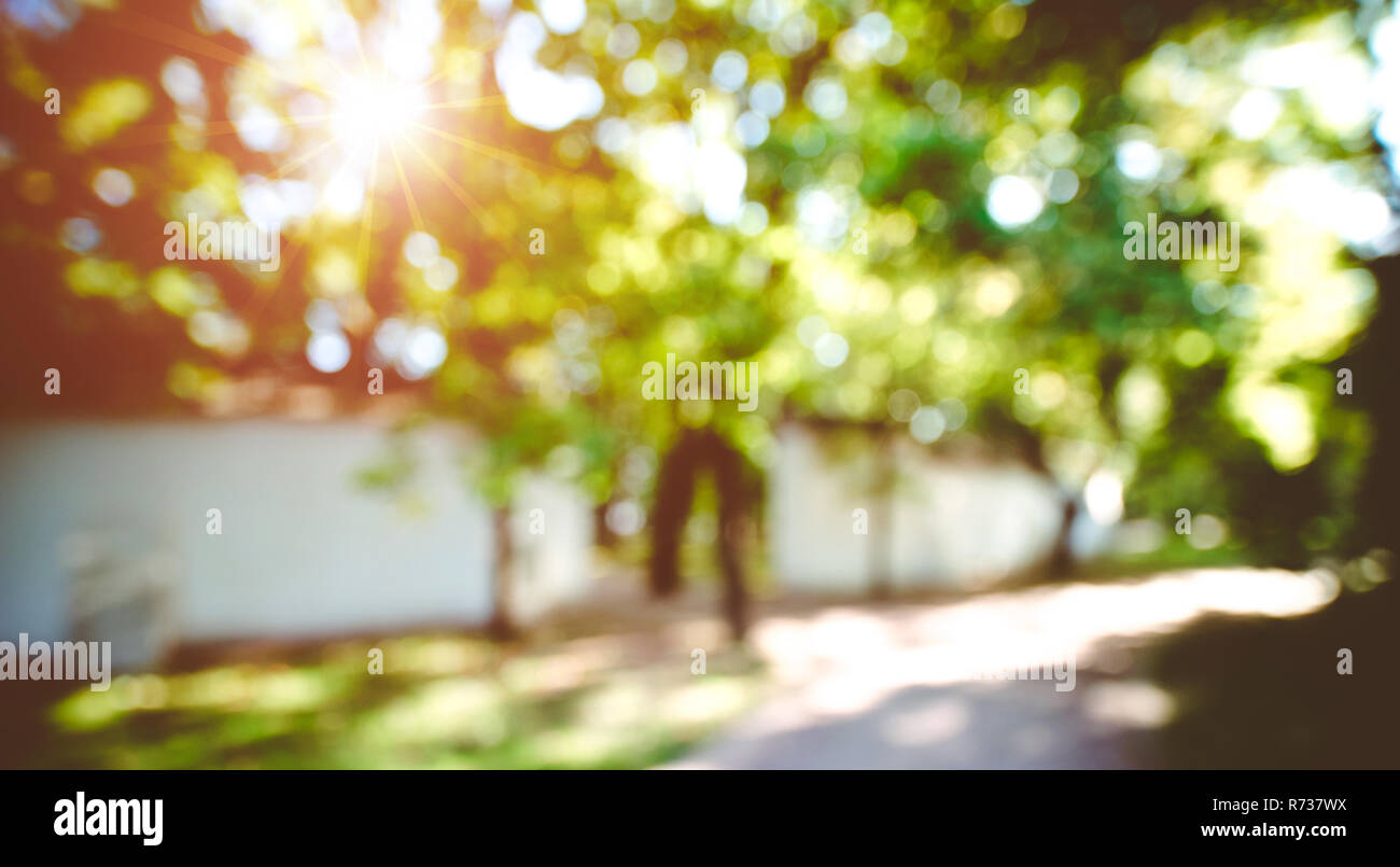 Summer blur bokeh background Stock Photo - Alamy