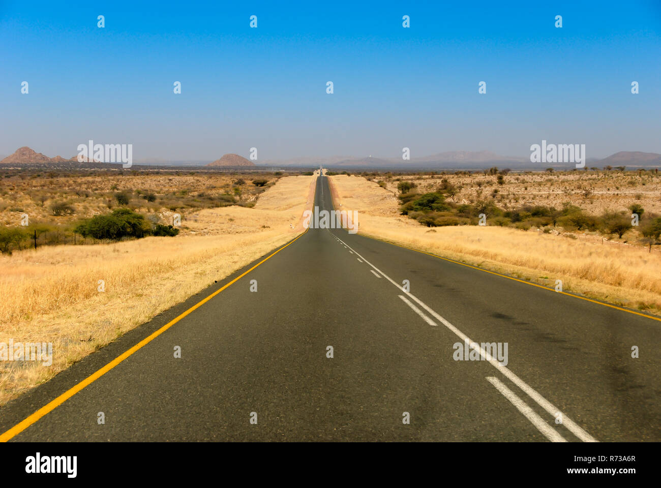 Paved road with bushes,  dry grass, acacia camelthorn tree and a hill in Namibia, Africa Stock Photo
