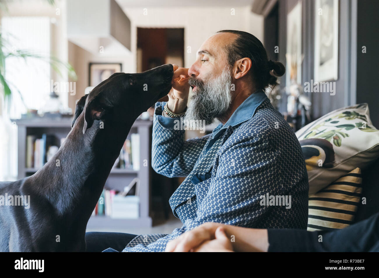 Man giving treat to dog Stock Photo