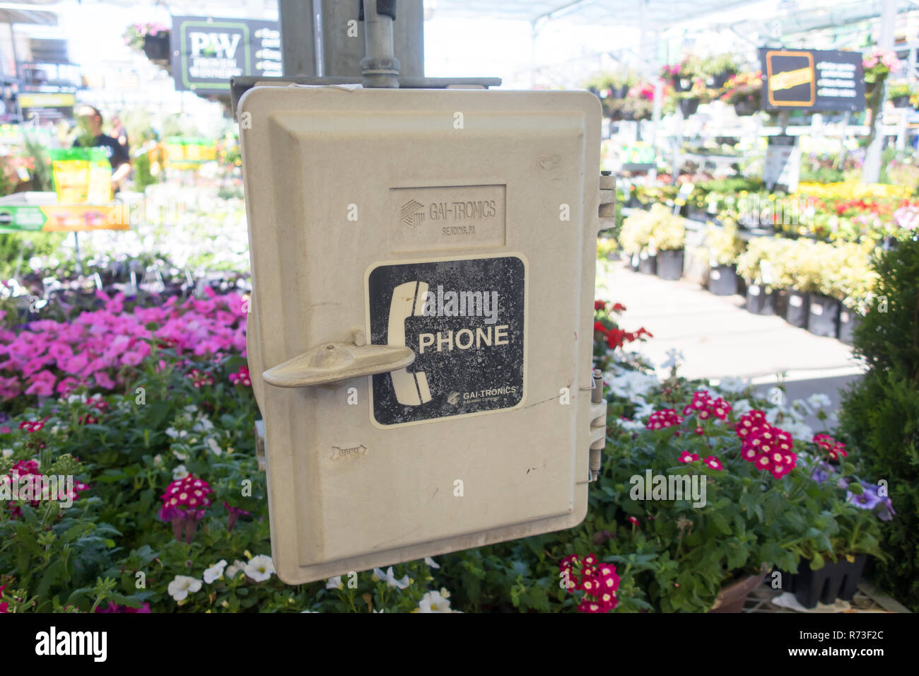 An outdoor phone box in a flower greenhouse. Stock Photo