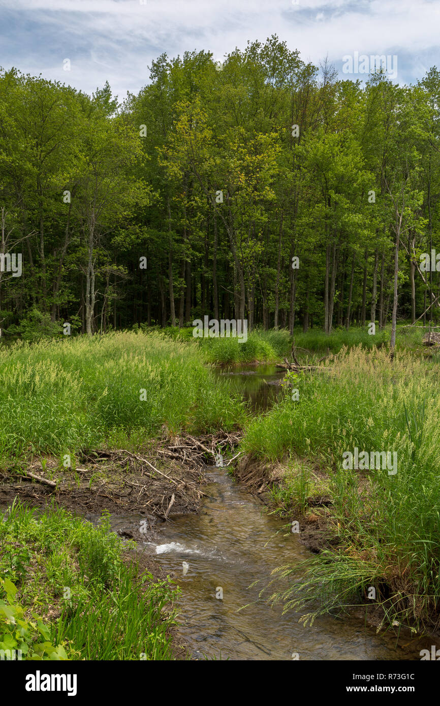 Beaver Creek Valley State Park High Resolution Stock Photography and