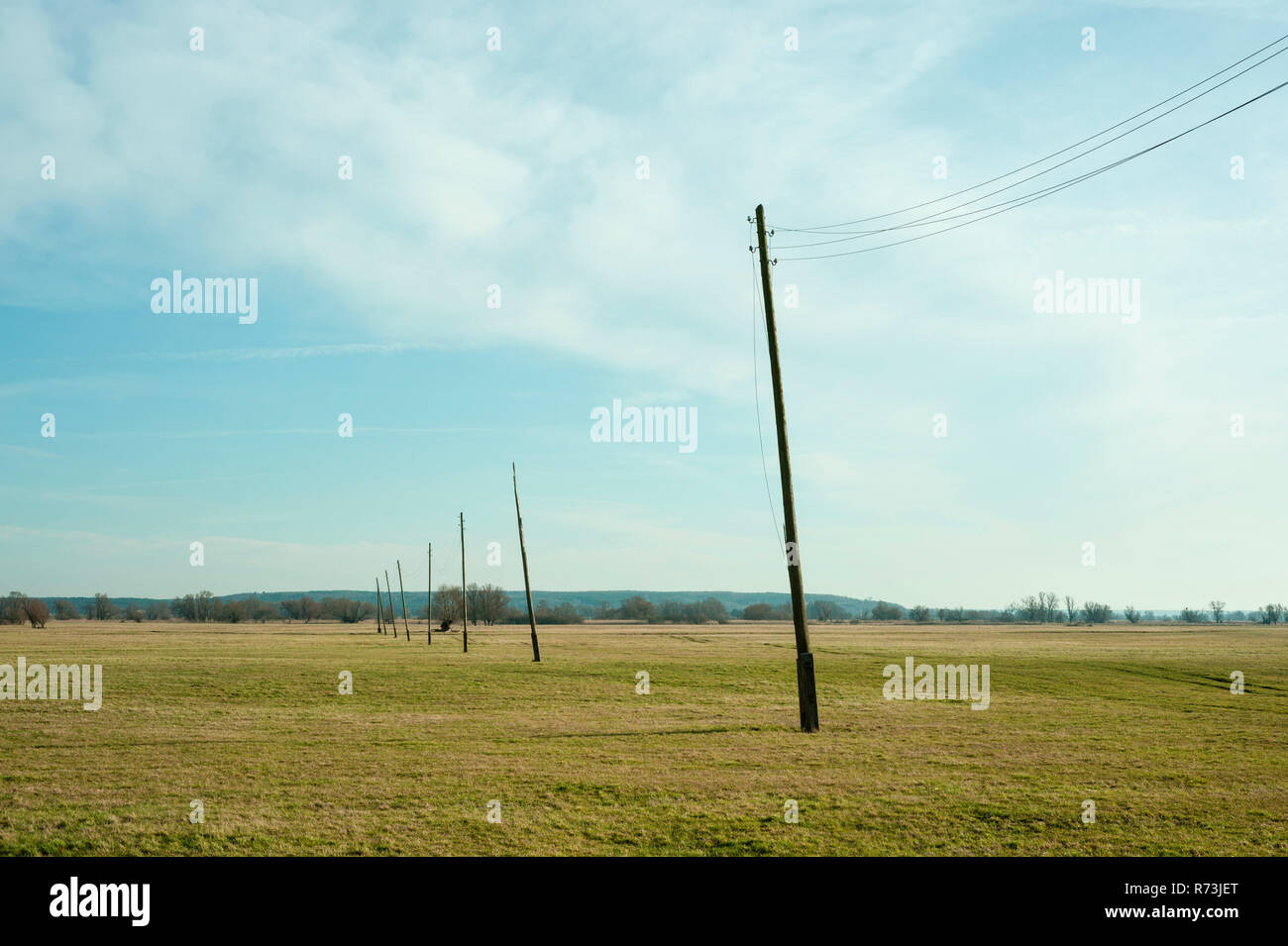 power poles, national park Unteres Odertal, Brandenburg, Germany Stock Photo
