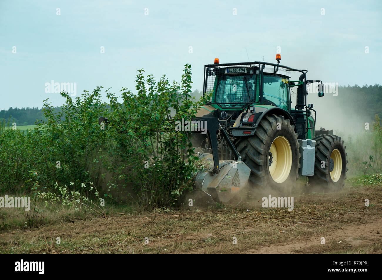 tractor, Fendt Vario 939, cultivator, FAE, forest mulcher, short rotation coppice, recultivation, removal, land clearing, poplar, Brandenburg, Germany Stock Photo