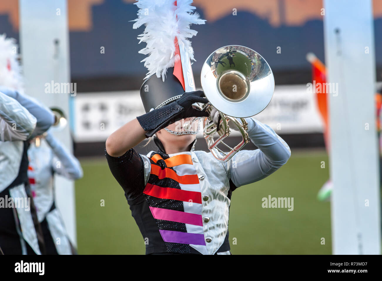 Details from a music, show and marching band. Playing musicians wind