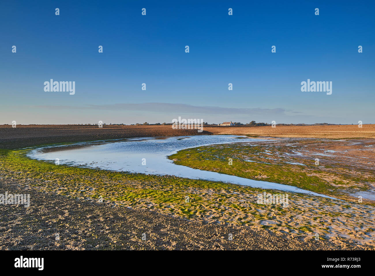 The beach at Shingle Street at low tide on a late autumn afternoon with a white cottage in the background, Suffolk, England, UK Stock Photo