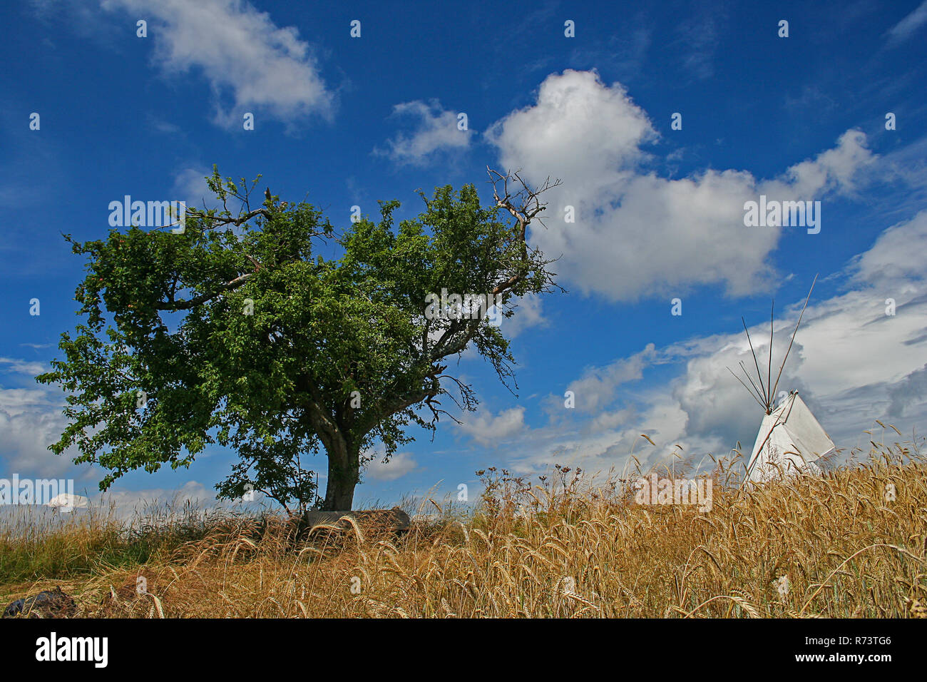 Bowed Rod High Resolution Stock Photography and Images - Alamy