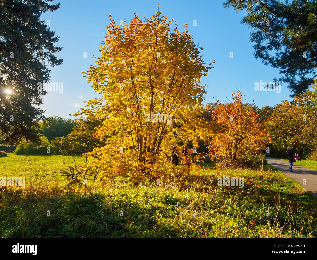 View of the autumn park with bright green, yellow, orange and red ...