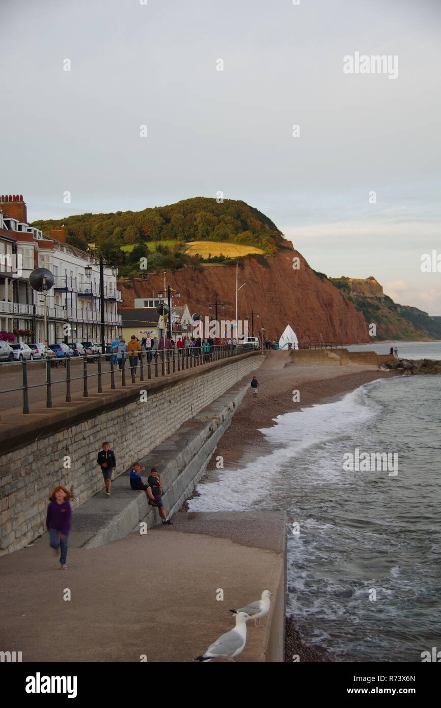 High Peak Cliff of red Sandstone at Sidmouth in the Golden Light of a