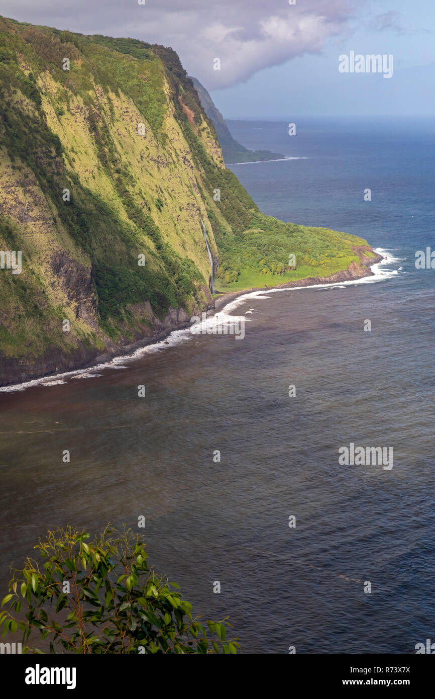 The Pacific Ocean coast line at Waipi'o Valley on the Big Island of Hawaii. Stock Photo