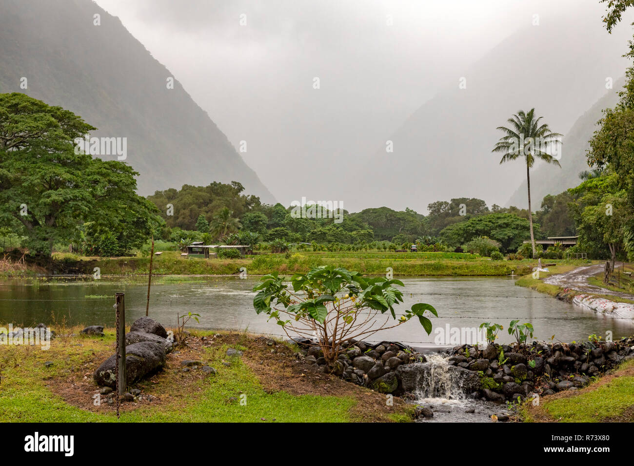 A rainstorm in Waipi'o Valley on the Big Island of Hawaii. Stock Photo