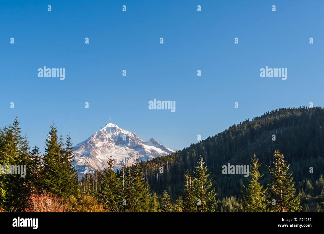 Lolo pass in mt hood national forest hires stock photography and