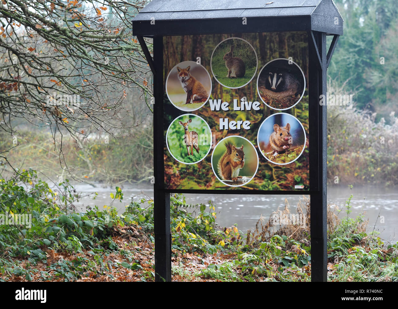 Sign showing some of the wildlife that live around the area of the River Suir in Cahir, Tipperary, Ireland Stock Photo