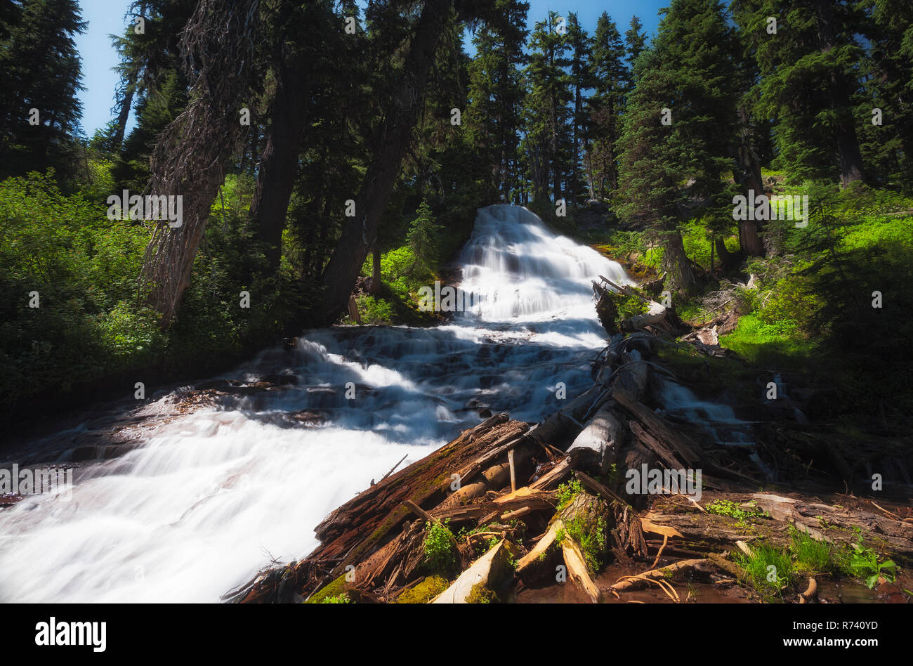 Umbrella Falls in Mt. Hood National Forest in Oregon Stock Photo - Alamy