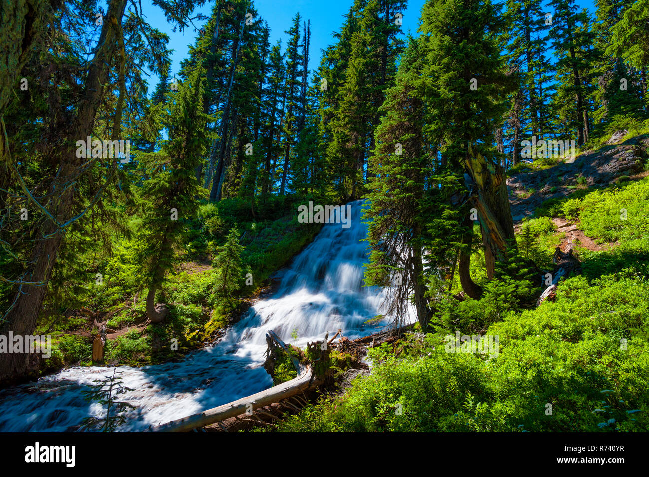 Umbrella Falls in Mt. Hood National Forest in Oregon Stock Photo - Alamy