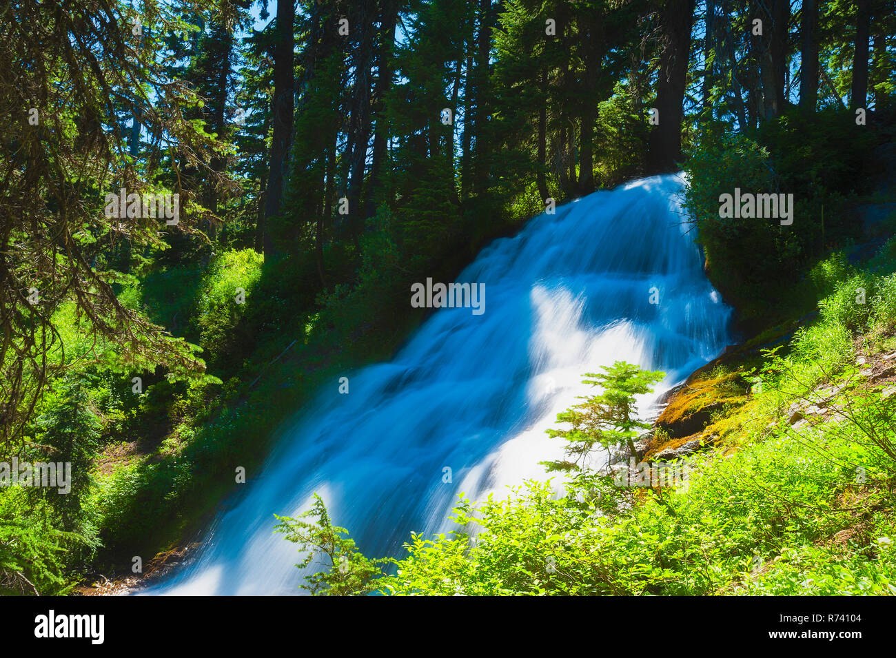 Umbrella Falls in Mt. Hood National Forest in Oregon Stock Photo - Alamy