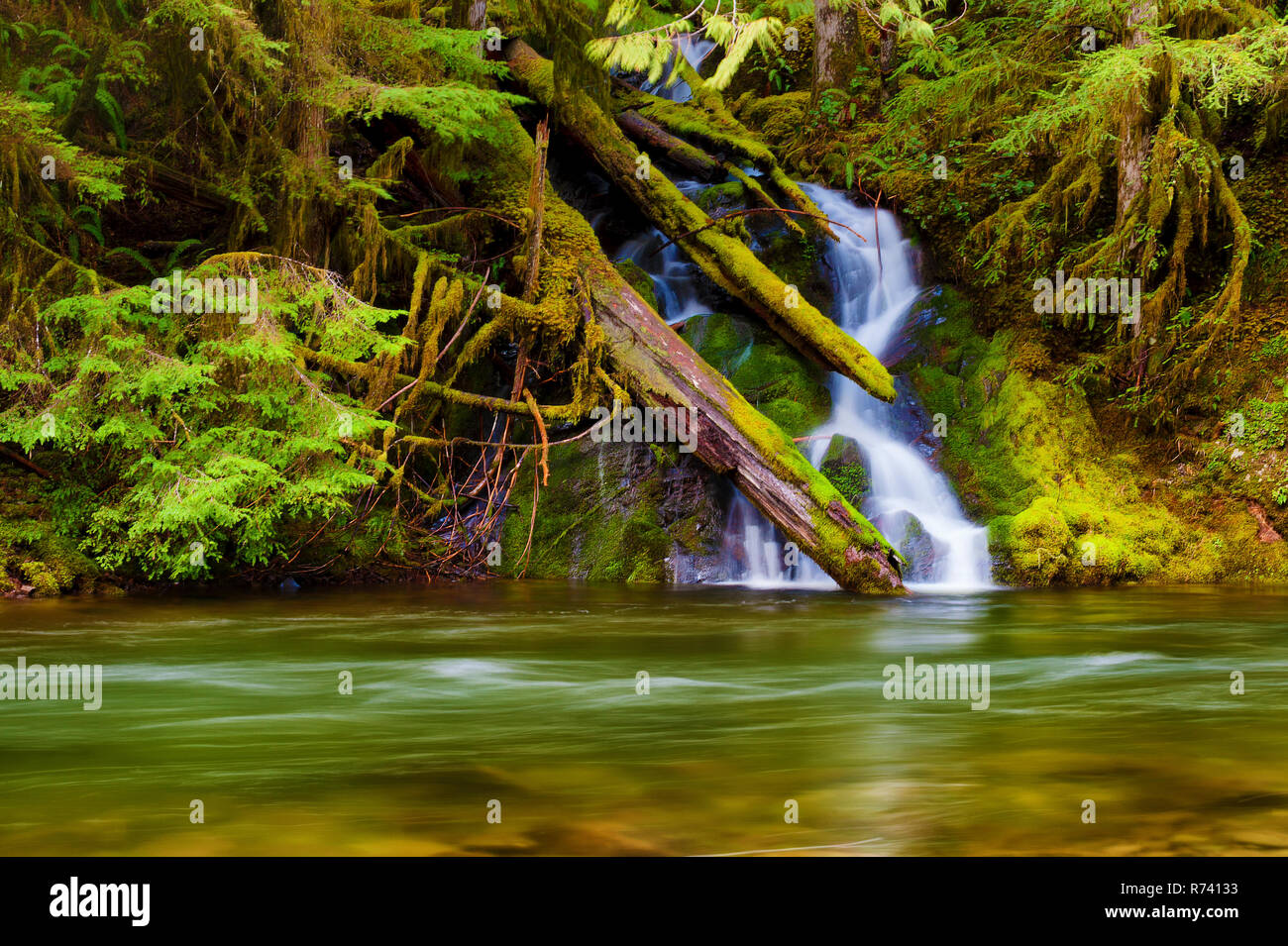 Seasonal waterfall sheets down the moss covered rocky banks along the
