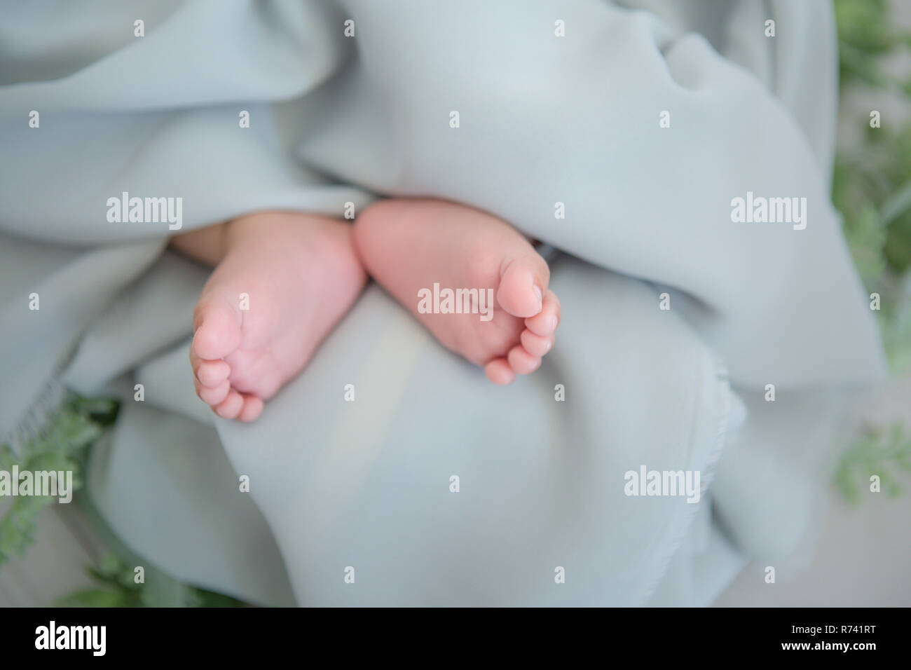 Newborn Stock Photo