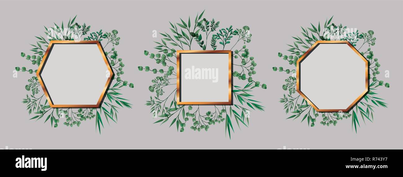 set of geometrics golden frames and leafs Stock Vector Image & Art - Alamy