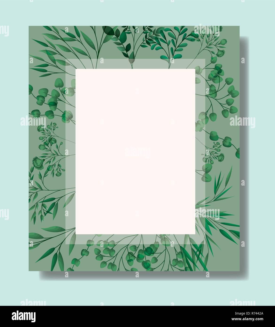square frame with laurel leafs Stock Vector Image & Art - Alamy