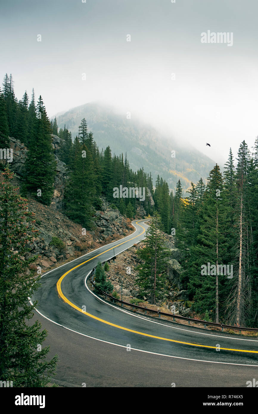 Winding road through forest, Aspen, Colorado, USA Stock Photo