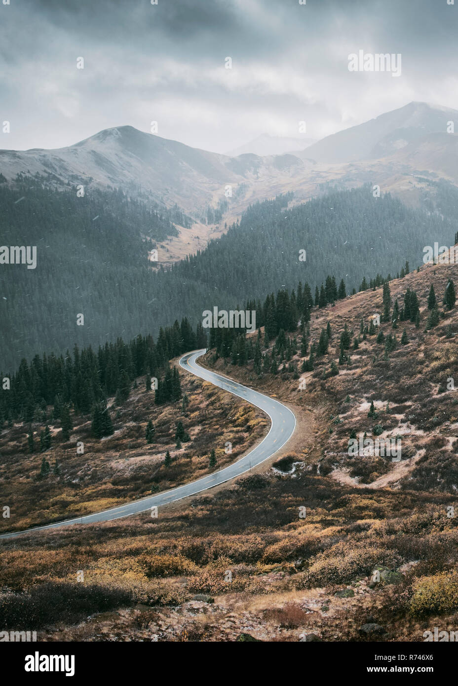 Winding road through forest, Aspen, Colorado, USA Stock Photo