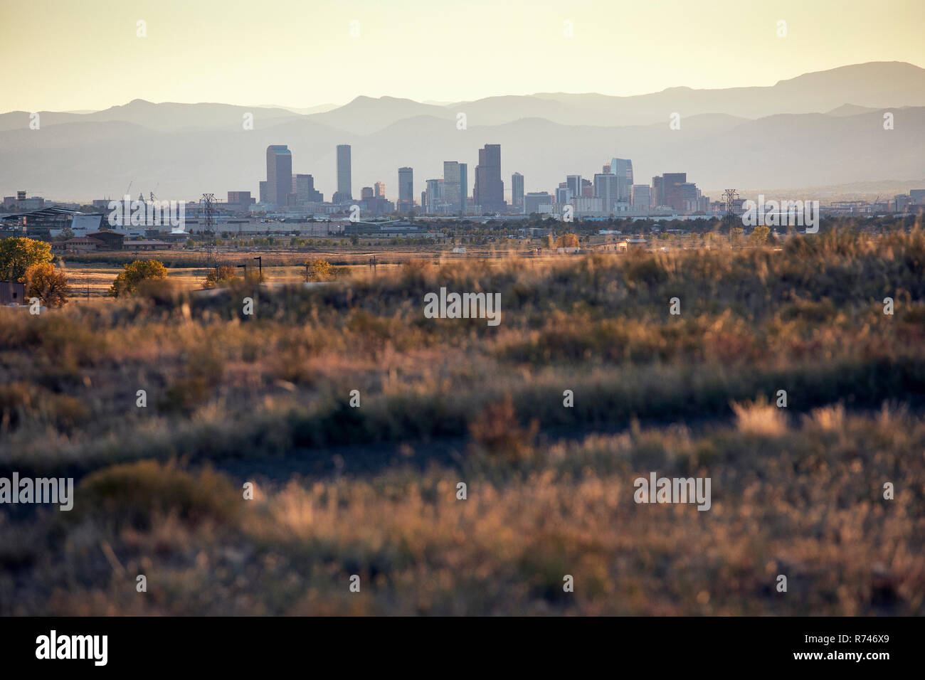 Landscape, skyline of skyscrapers in background, Denver, Colorado, USA Stock Photo