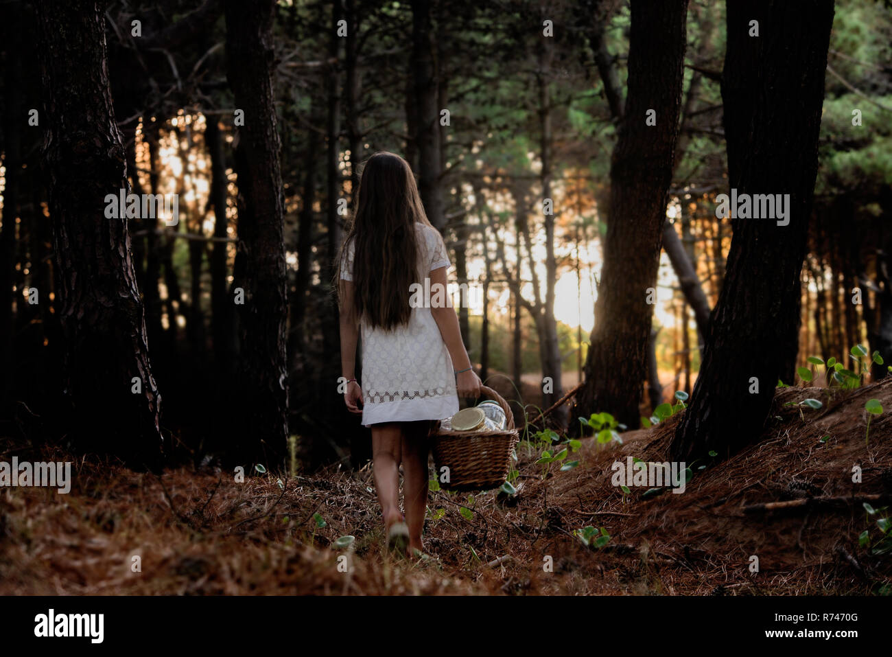 Child walking alone forest hi-res stock photography and images - Alamy