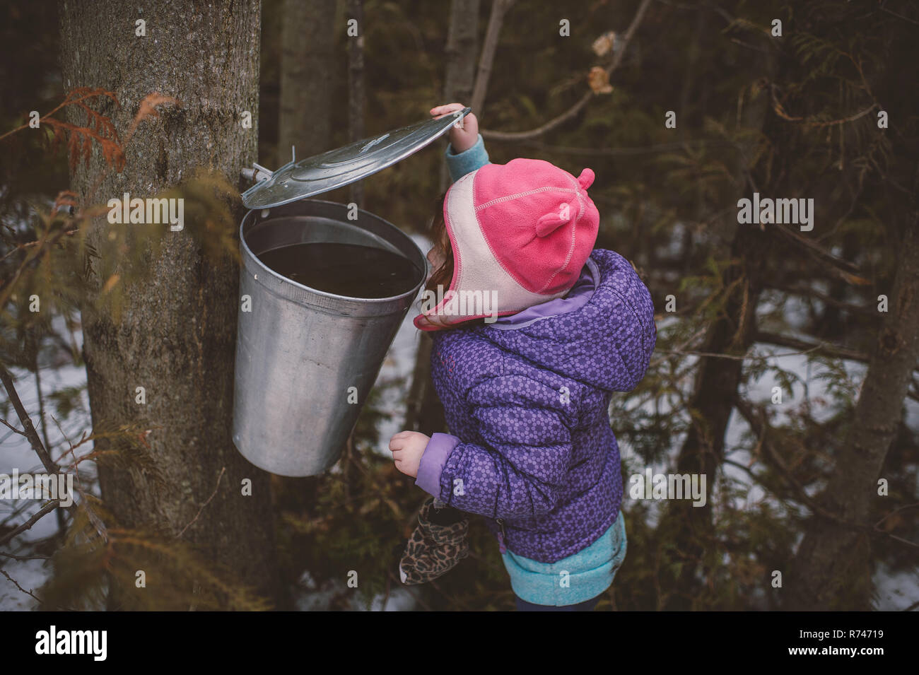 Girl in winter hat peering into forest tree bin Stock Photo