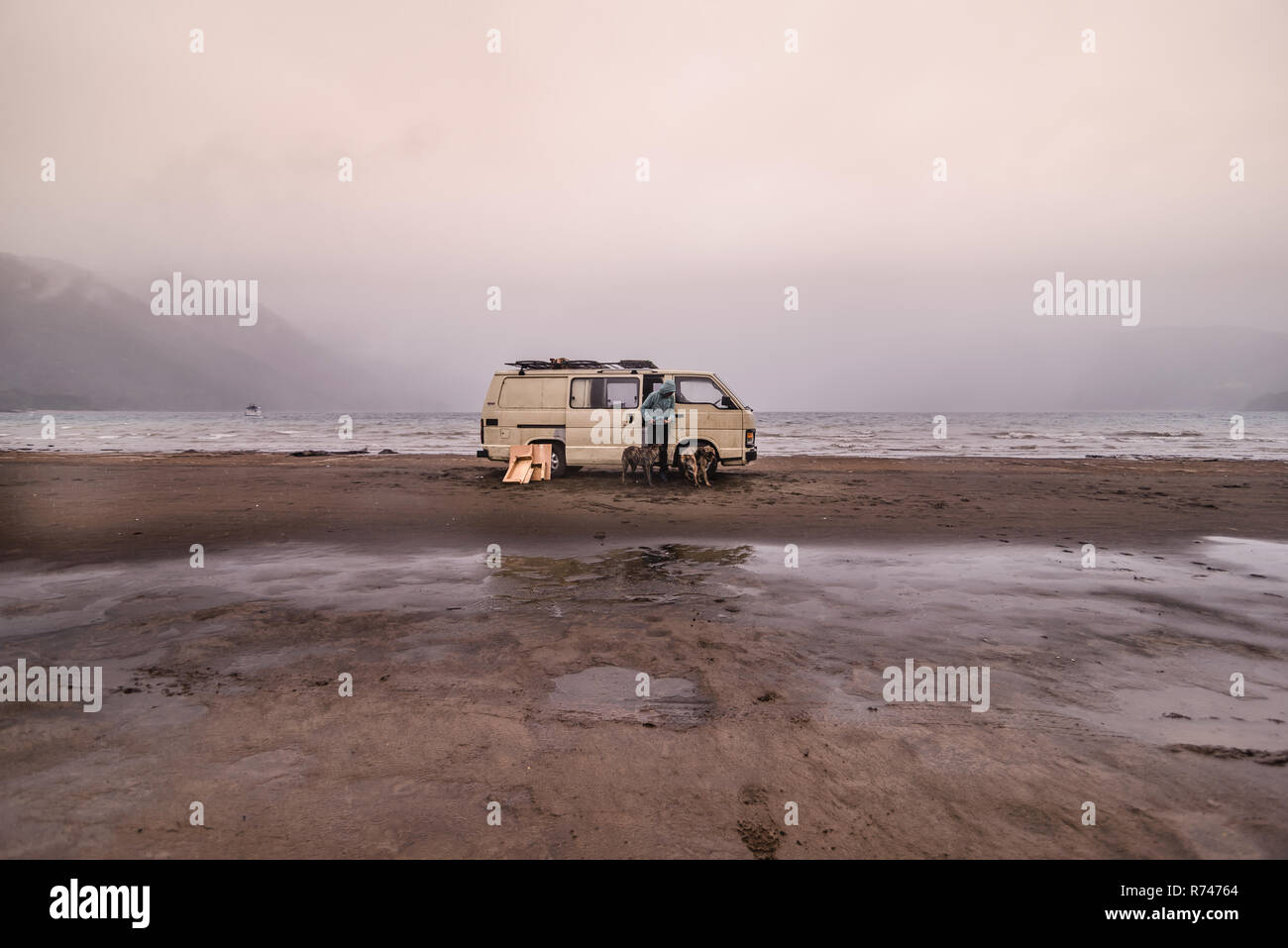 Woman and pet dogs by camper van on beach, Chile Stock Photo