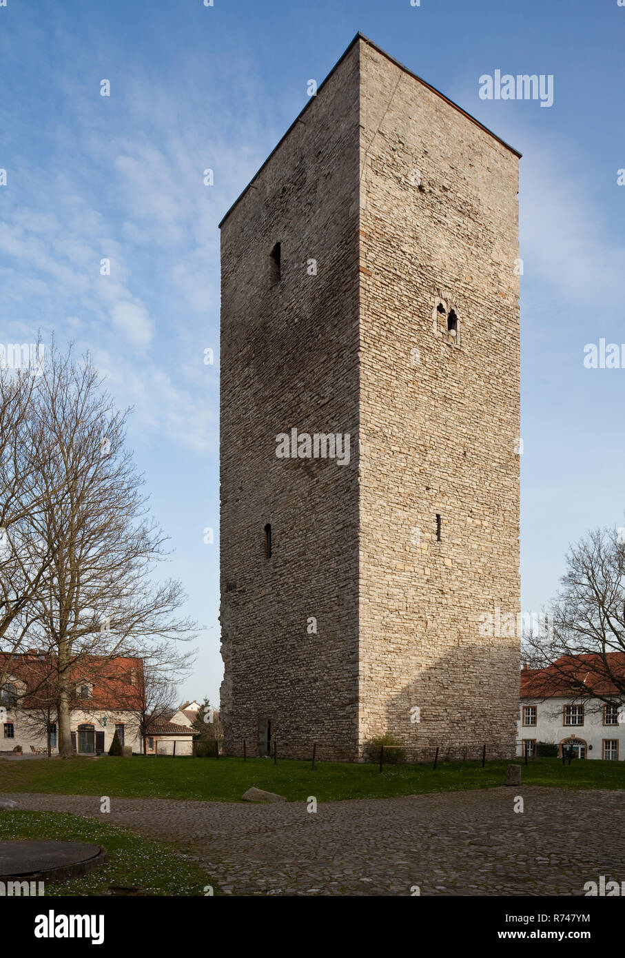 Wanzleben bei Magdeburg, Burg, Bergfried von Nordwesten, erbaut im frühen 13. Jhd. Stock Photo