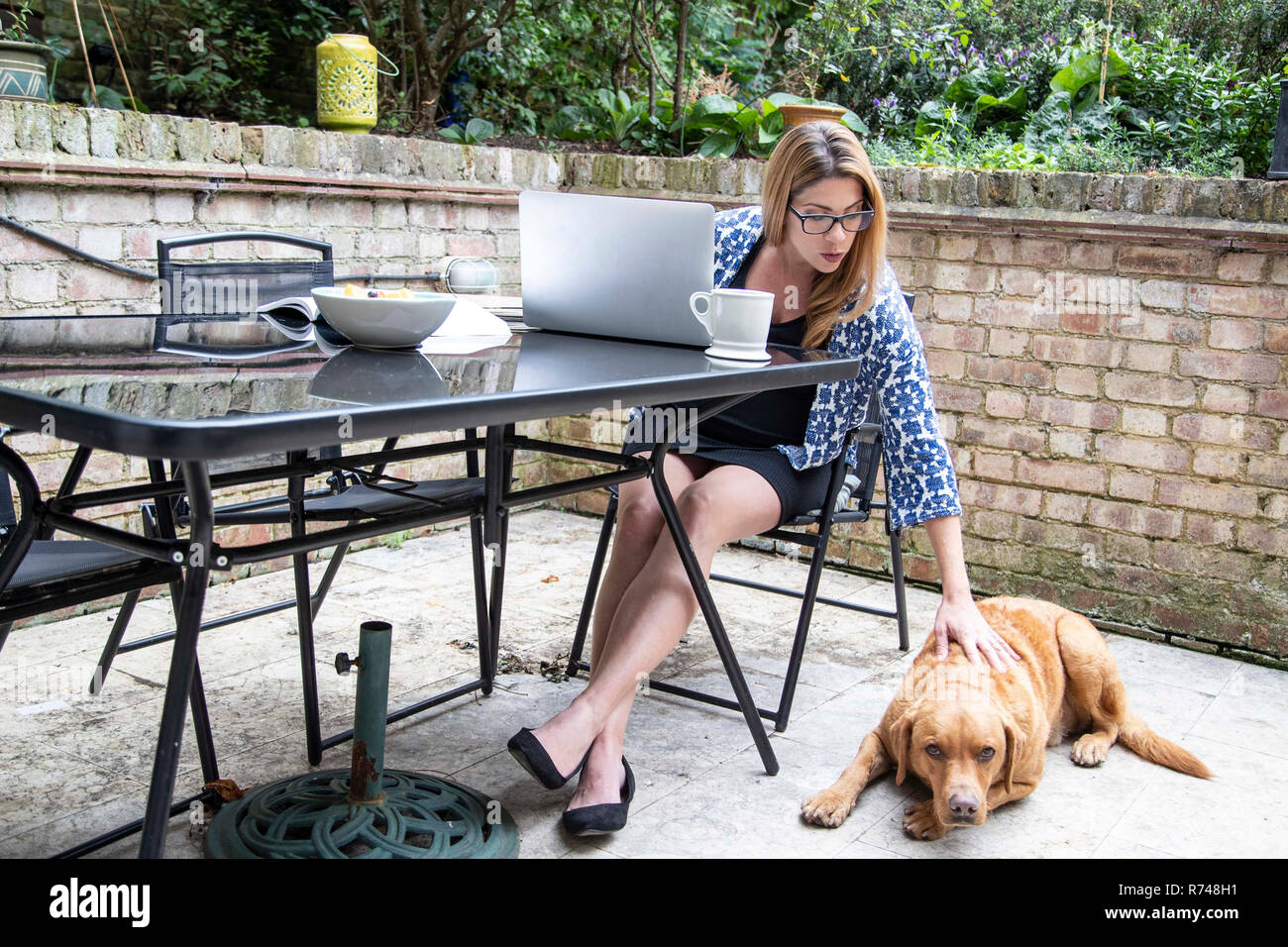 Pregnant mid adult woman using at laptop on patio table while petting dog Stock Photo