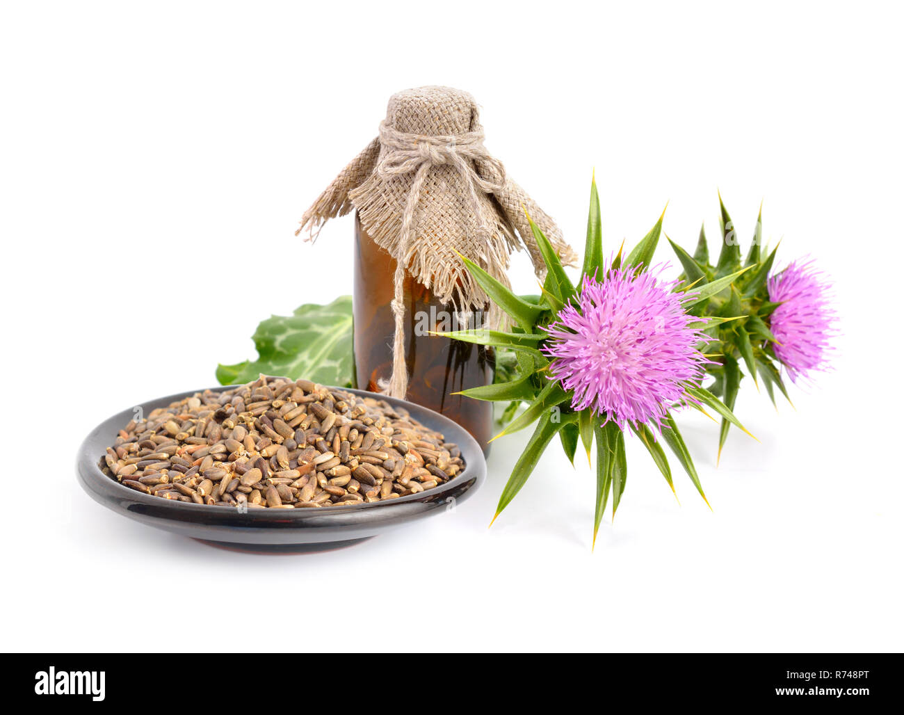 Milk thistle oil with flowers and seeds. Isolated. Stock Photo