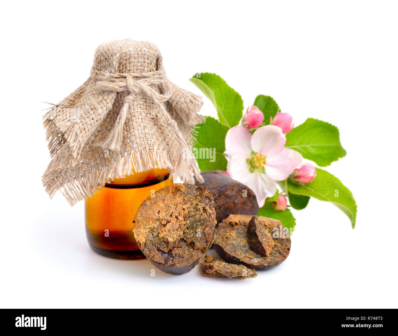 Propolis or bee glue with tincture. Isolated on white background. Stock Photo