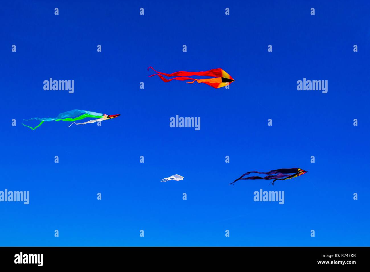 Three colourful kites fly over Long Island in Brooklyn, New York Stock Photo Alamy