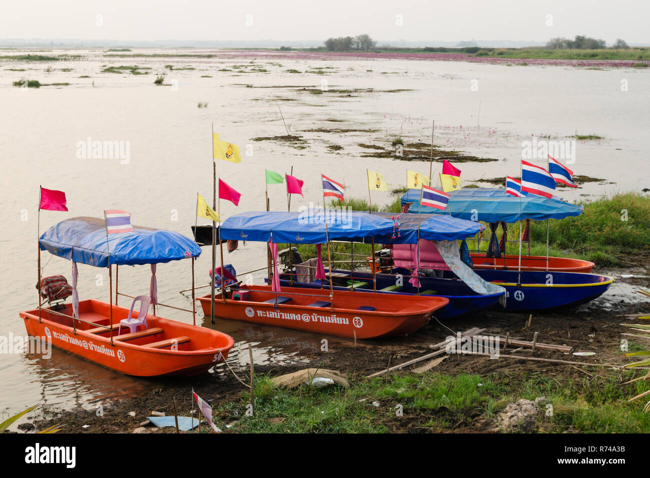 Tourist boats on the shore of Red Lotus Lake (Talay Bua Daeng), Kumphawapi, Udon Thani, Thailand Stock Photo