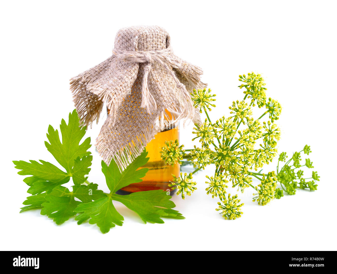 Parsley essential oil on pharmaceutical bottle. Isolated on white