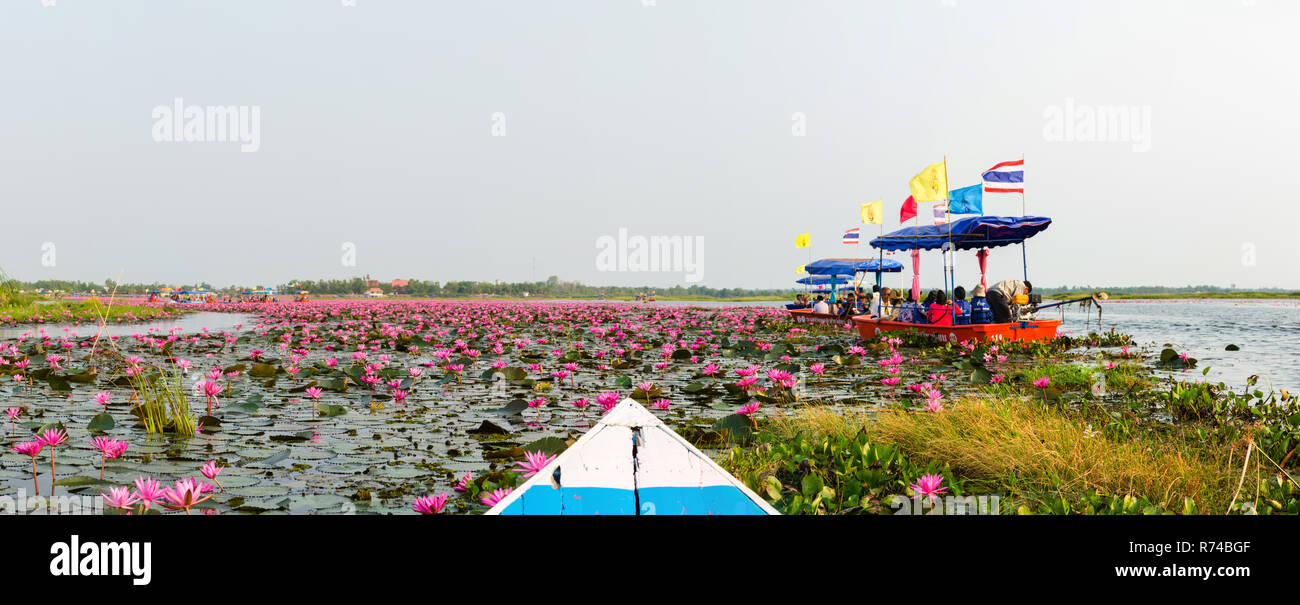 Morning boat ride on Red Lotus Lake (Talay Bua Daeng), Kumphawapi, Udon Thani, Thailand Stock Photo