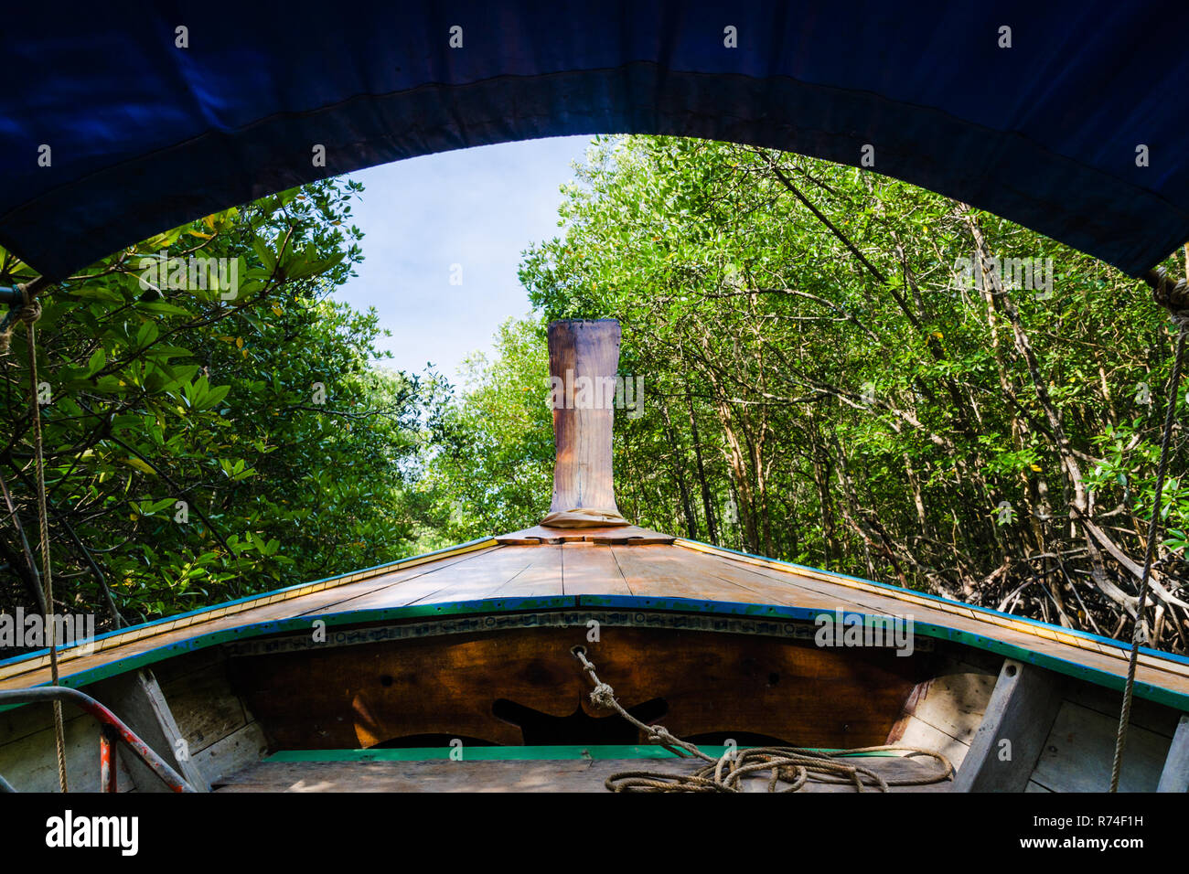 Longtail boat sailing through mangrove forest, Phang Nga Bay, Thailand Stock Photo