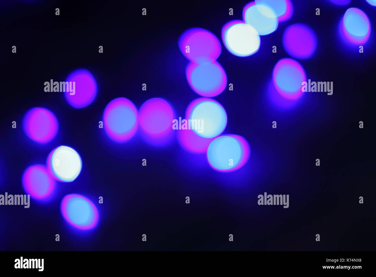 Bokeh effect of purple/blue holiday lights Stock Photo