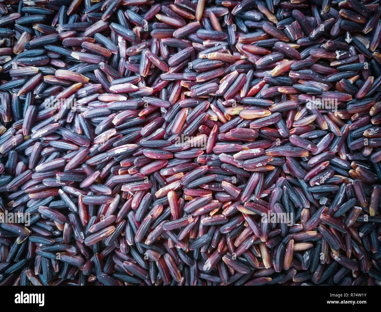 Rice background / Thai Rice riceberry Agricultural produce purple rice