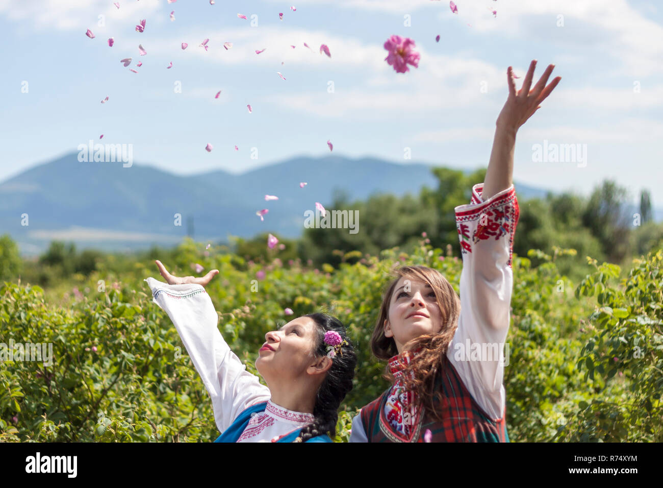 Bravo Throwing Roses ROZOVO, BULGARIA - JUNE 06, 2015 - Rose picking ritual in Rozovo ...